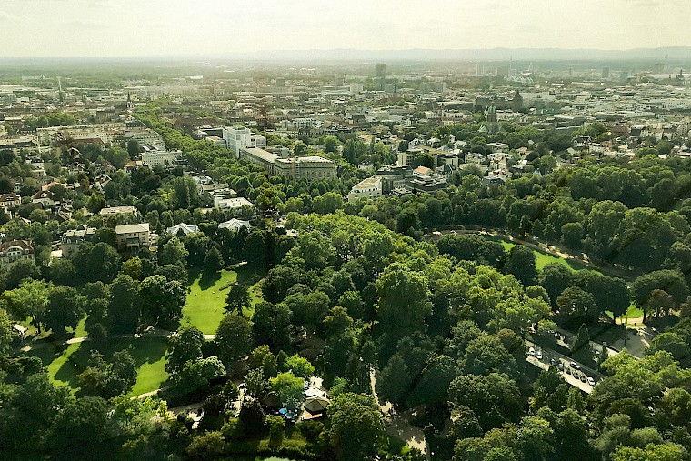 City with lots of green space and trees.